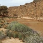 The Libyan desert: natural and human heritage under threat