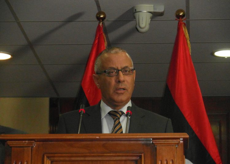 Russia is an important state. We will seek our national interest – Zeidan