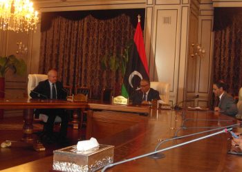 Strikes that affect national interest should be banned – Electricity Minister Muhairig