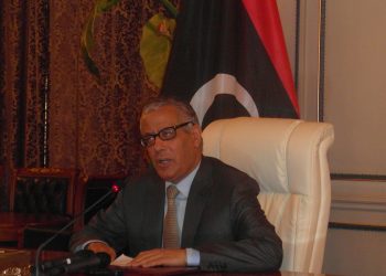 We have called for International help in forensics – Zeidan