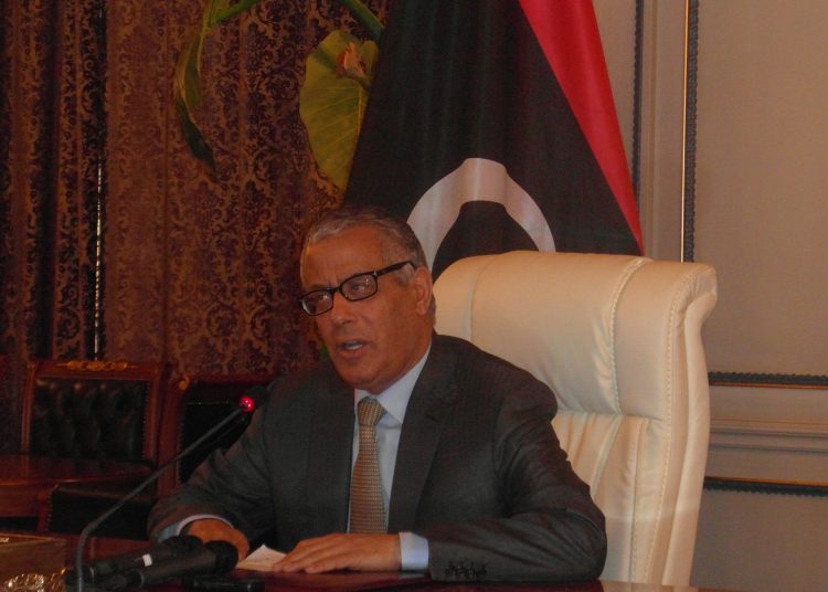 We have called for International help in forensics – Zeidan