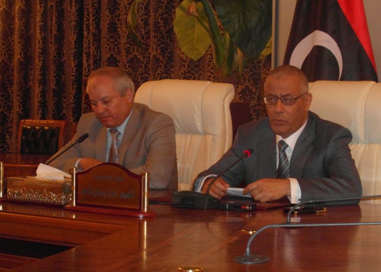 Public criticism does not affect me – Zeidan