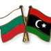 Libya and Bulgaria discuss developing tourism and health tourism