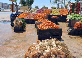 Tunisia imposes fruit and vegetables export ban to all countries – including its largest importer Libya