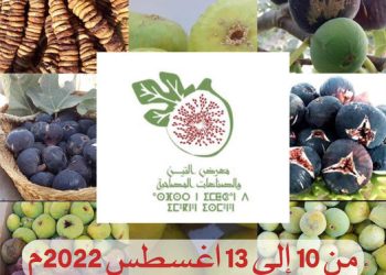 Figs and Associated Industries fair from 10 to 13 August in Yefren