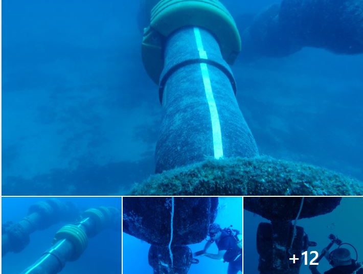 Zawia Oil Port berth partially serviced by local engineers