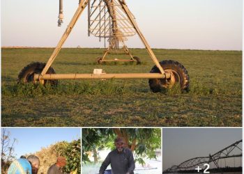 UNDP visits Kufra to assess how it can help in developing agriculture