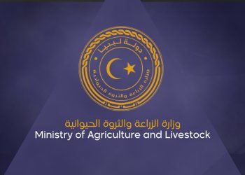 Aldabaiba stresses need to activate agricultural projects in cooperation with private sector