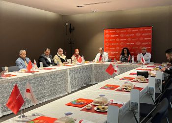 Health Ministry Committee visits Turkey, discusses training with medical institutions