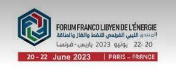 French Libyan Energy Forum, Paris 20 to 22 June