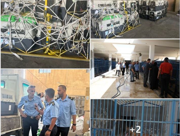 Customs Authority imports 30 sniffer dogs, handlers to be trained by Dutch K9 unit