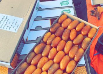 LEPC acknowledges Al-Qour for exporting Libyan dates to 8 countries