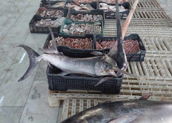 Economy Ministry workshop on developing fisheries sector and its role in achieving economic diversification