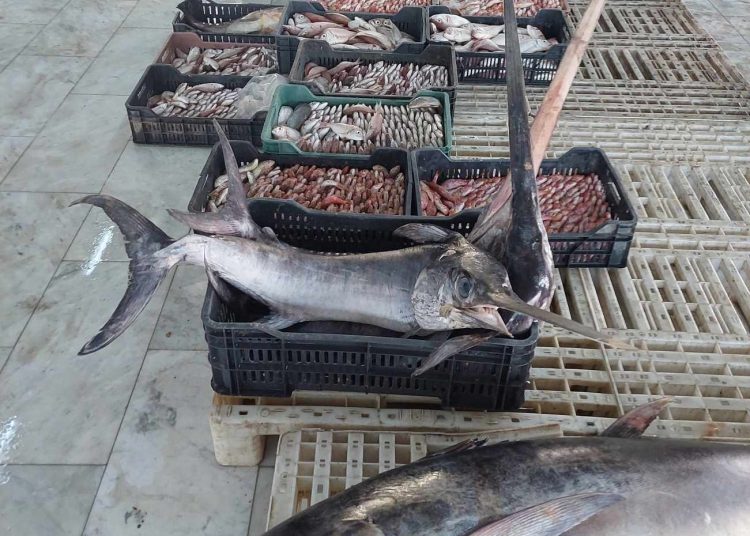 Economy Ministry workshop on developing fisheries sector and its role in achieving economic diversification