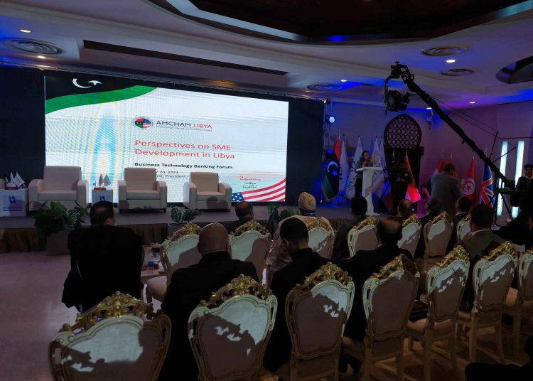 AmCham Libya calls for more effort to improve business environment for SMEs in Libya