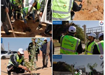NOC starts first phase of its campaign to plant a million trees