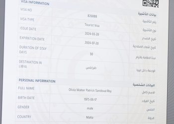 e-visas for foreigners launched – to commence Thursday 21 March