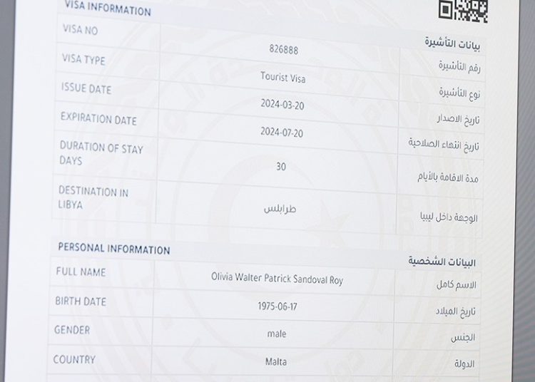 e-visas for foreigners launched – to commence Thursday 21 March
