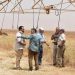Consortium of American agricultural companies visit Libyan pivot irrigation project in east