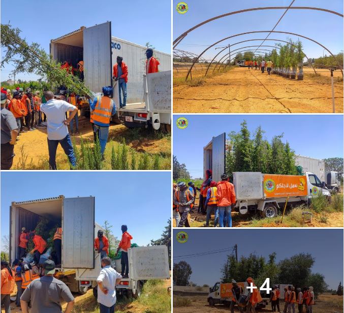 First batch of trees for Tripoli’s one million tree planting project arrive – over 45,000 trees planted in 16 months