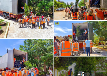 Second batch of trees arrive in Tripoli as part of the one million tree-planting initiative