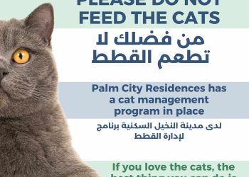 Palm City Residences implements international standard Stray Cat Management Programme