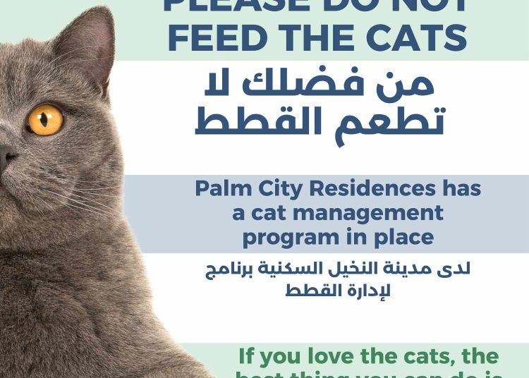 Palm City Residences implements international standard Stray Cat Management Programme