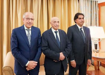 HoR confirms El-Kaber as Governor of the CBL