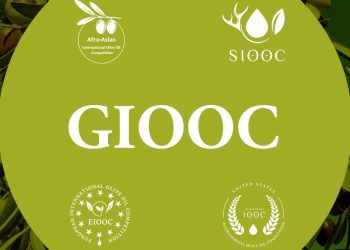 Libyan olive oils win gold in Abu Dhabi’s 2025 International Afro-Asian Olive Oil Competition