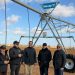 One-million olive tree project in Tarhuna launched – first project in North Africa to grow olive trees using linear pivot irrigation systems